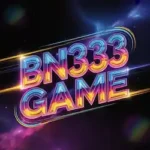 BN333 Game